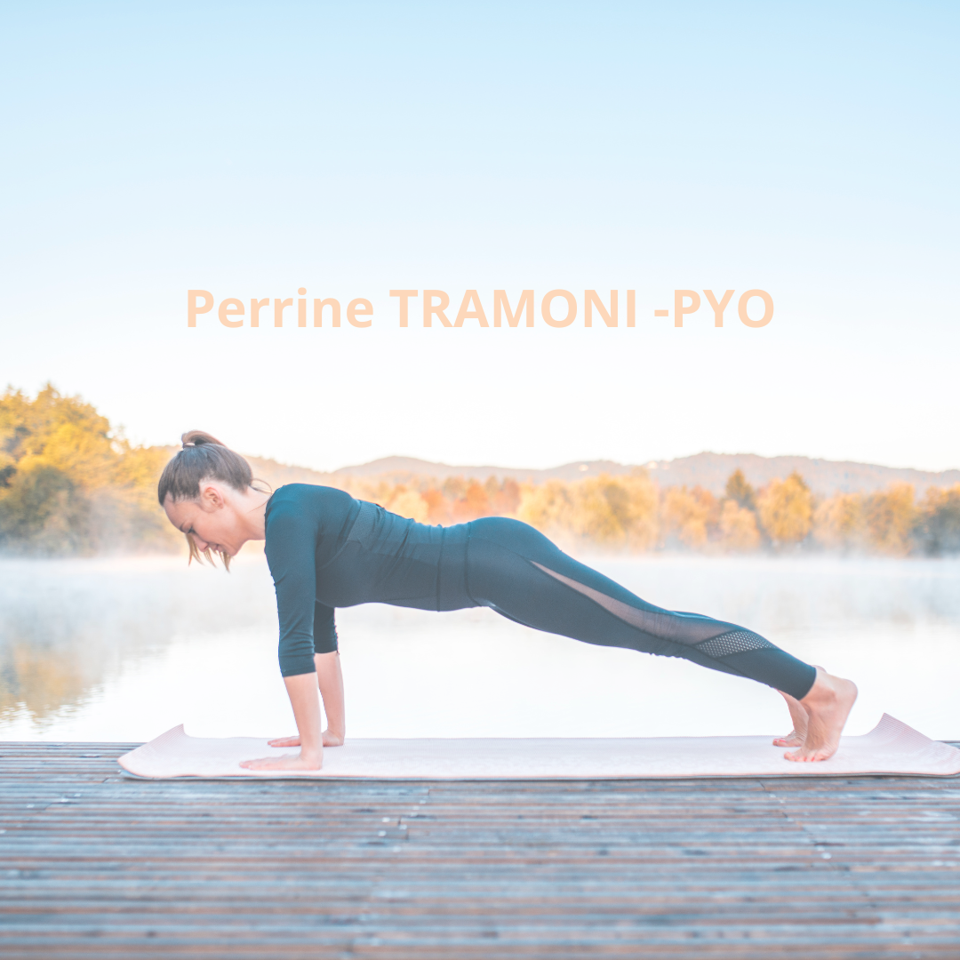 Tuto 1 pompe du yogi Chaturanga